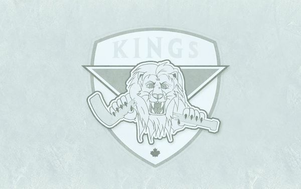 Kings like what they see in new netminder