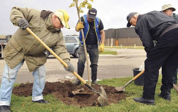 Elmira greening plan approved