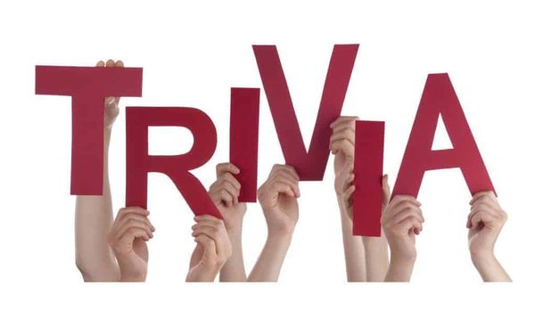 Trivia Night