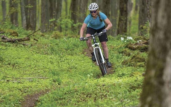 Wellesley councillors hear of plan for mountain bike trail connecting township