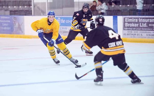 Kings down to the details in finalizing their 2016-17 roster