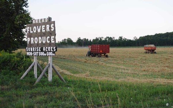 New provincial co-op group interested in making hay