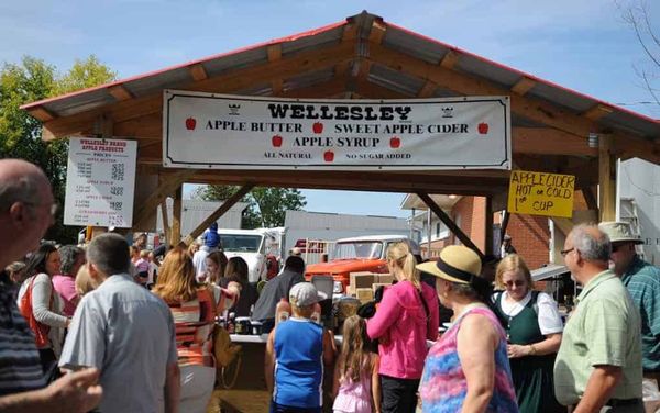 ABC Festival ramps up for its 44th year with the fun set for Sept. 28