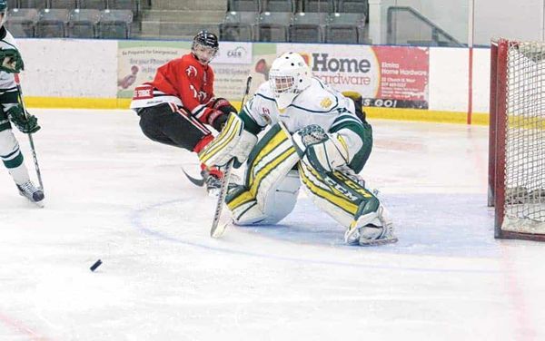 Better by the dozen as Kings’ winning streak continues