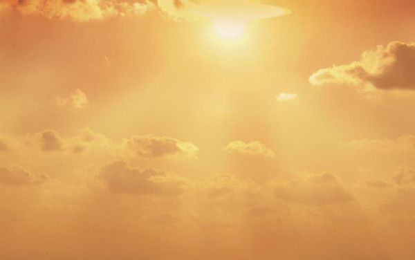 More sunshine as list grows again in the past year