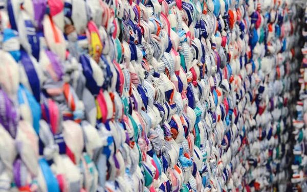 Wellesley Public School students turned milk bags and many hours of work into emergency bedding
