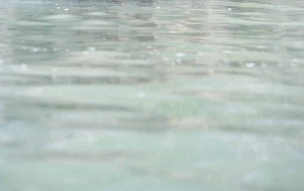 Wellesley farmers embrace water quality program