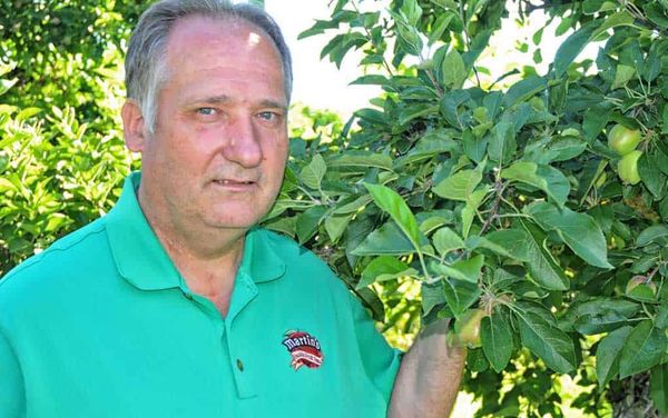 Seasonal workers already heading back to Ontario farms