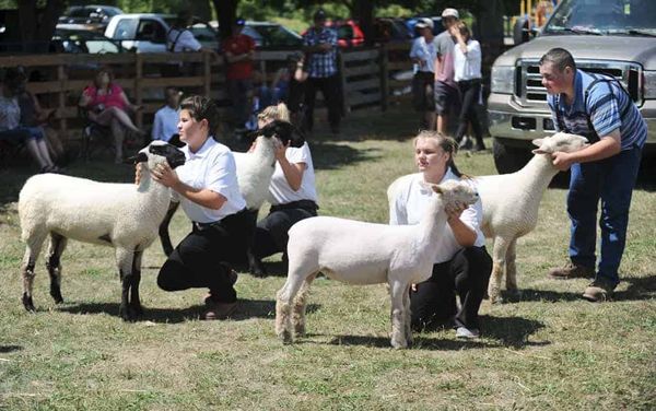 No need to wait for fall, as Drayton gets the fair season rolling next weekend