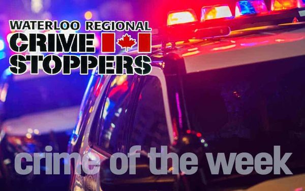 Police seeking info on vandalism in Wellesley