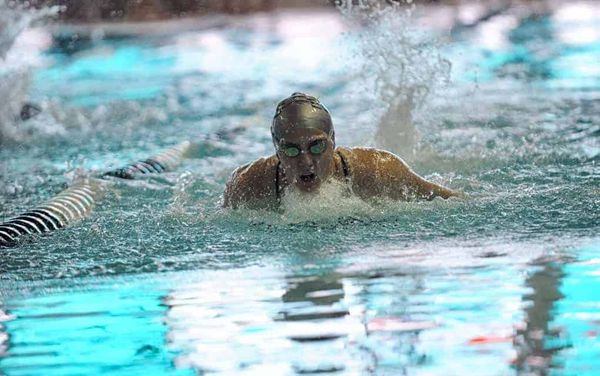 ’Tis the season of giving, and that includes free recreational offerings