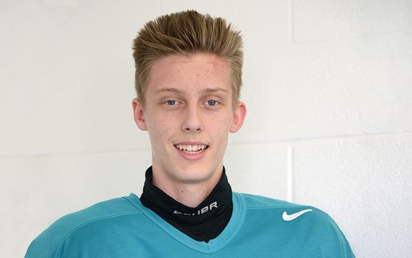 Three area hockey players selected in OHL draft