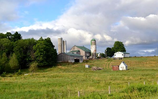 Group publishes guide for prospective new farmers