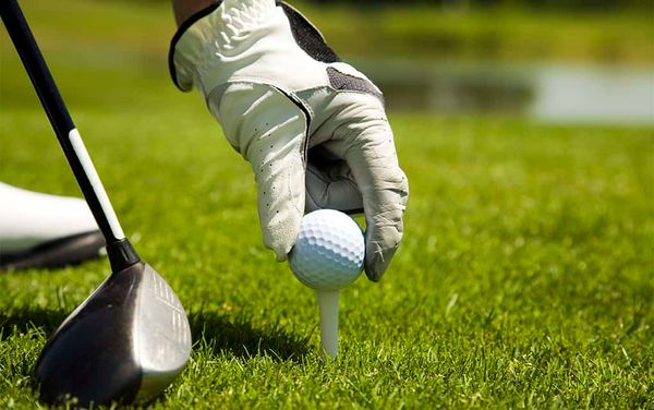 WCS hosts its fundraising Jeanne Renault Golf Classic Friday afternoon