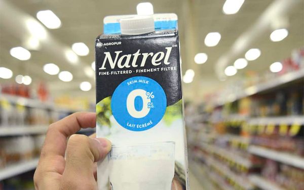 Renegotiated NAFTA remains a concern for the dairy industry