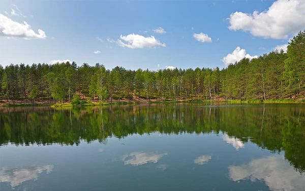 GRCA now booking spots for free managing trees workshop aimed at rural properties