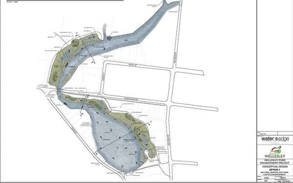 Pond rehab finds public interest