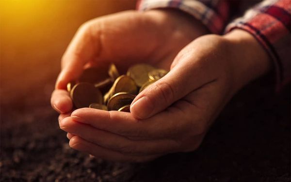 Sunshine list jumps to 16 in Woolwich and Wellesley townships