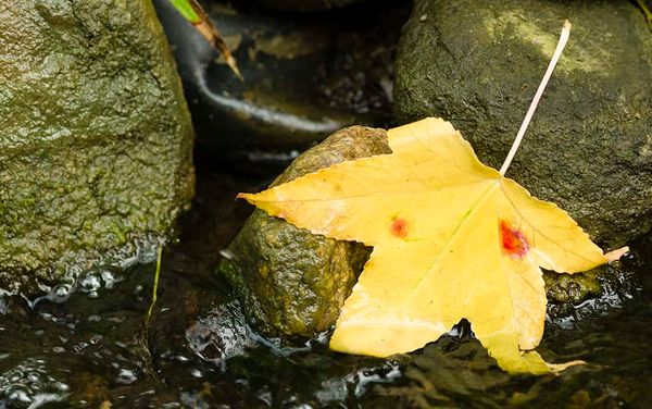 Watchdog group looks for quick action on hotspots