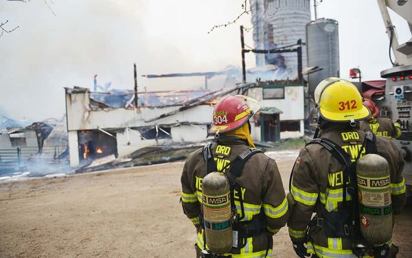 Some 450 animals perish in fire