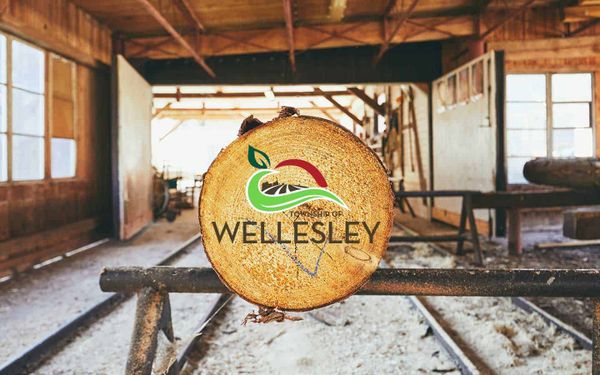 Council approves zone change to permit sawmill