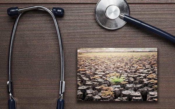 Region gets funds to study health effects of climate change