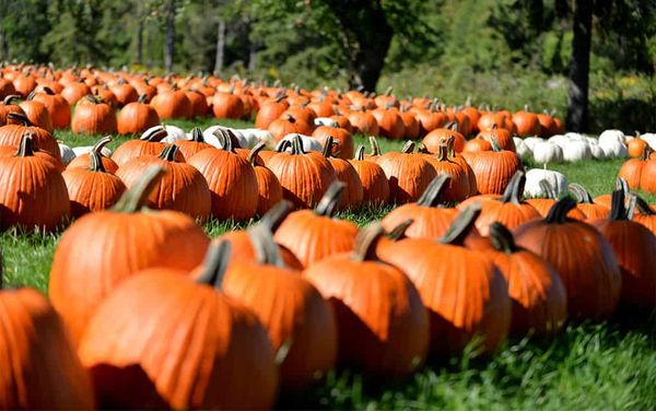 Autumn is in the air, but a better transition in the forecast