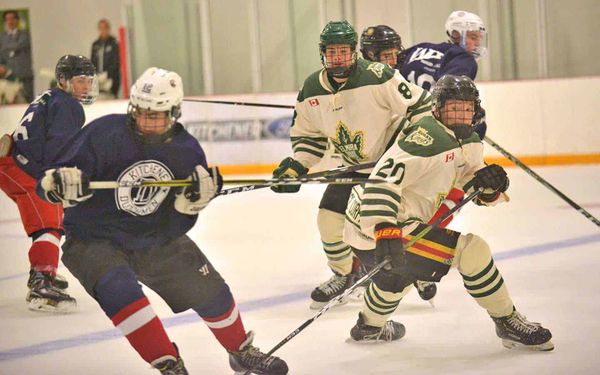Kings split four games in last week of preseason play