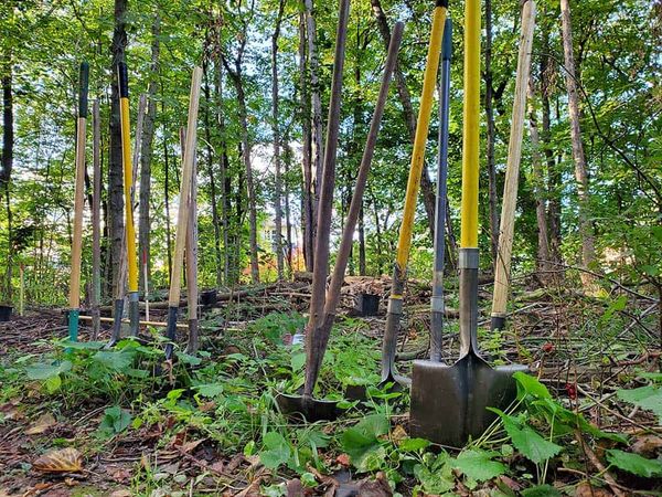 Funding will help local tree-planting