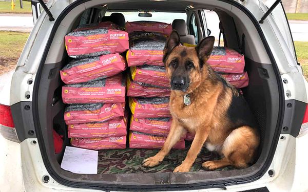 Elmira-based pet food company launches contest in support of animal shelters