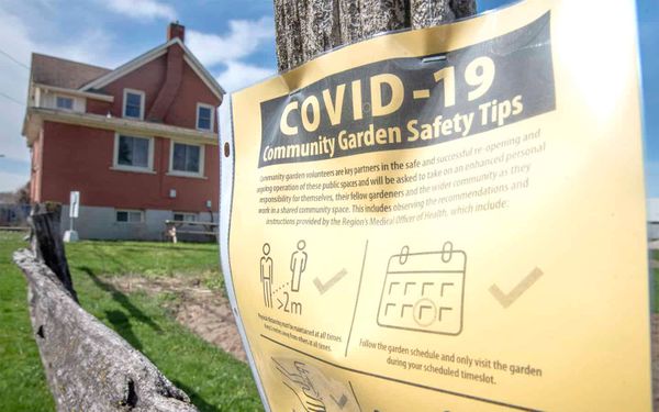 Community gardens to open in the region after province loosens rules