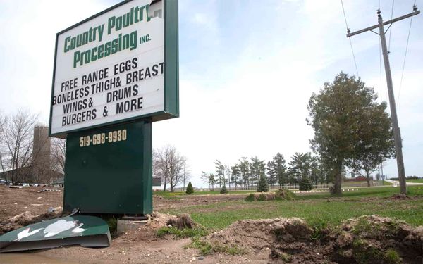 Small abattoirs see increase in demand due to food security concerns