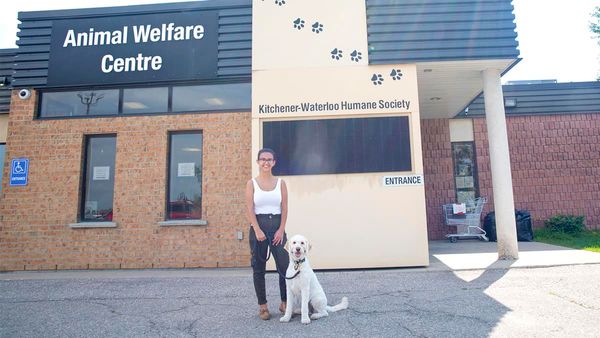 Humane Society goes “fur-tual”