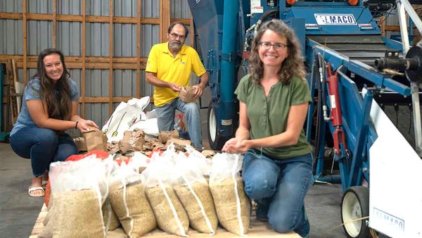 Plenty of upside to new seed body