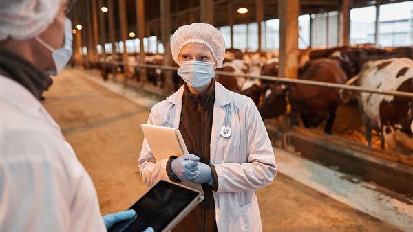 Province steps up COVID-19 inspections at farm operations