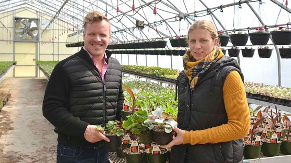 Gardening facing some growing pains