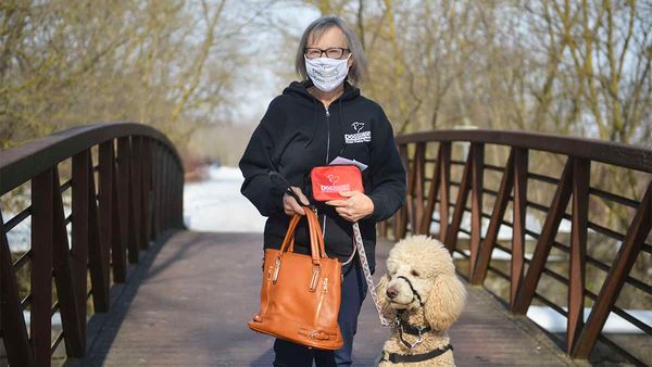 Floradale Friends of Dog Guides hosting second online auction