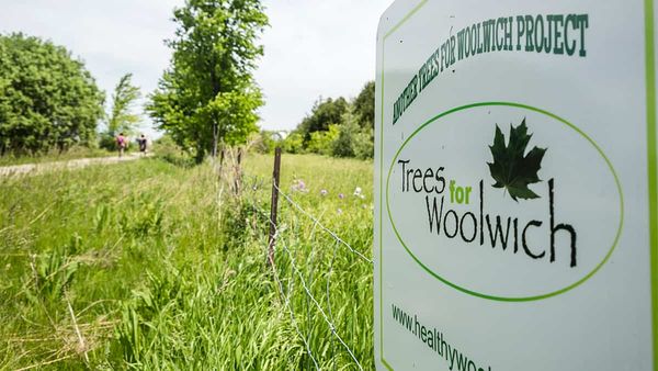 Trees for Woolwich online learning sessions start next week