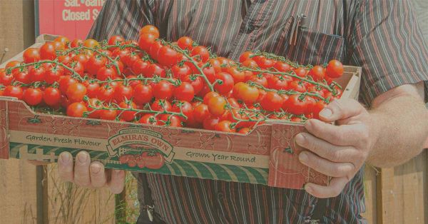 Taste the Countryside event kicks off today