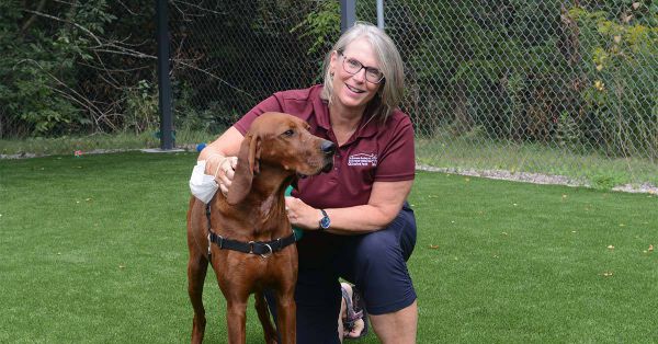 Local humane society earns accreditation from Imagine Canada
