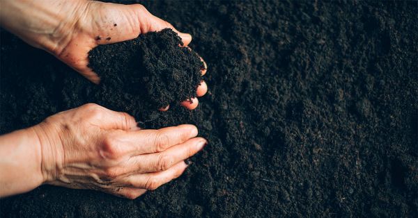 What’s being spread matters in GHG emissions, say UW researchers