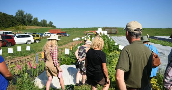 Planting the seeds of local and sustainability