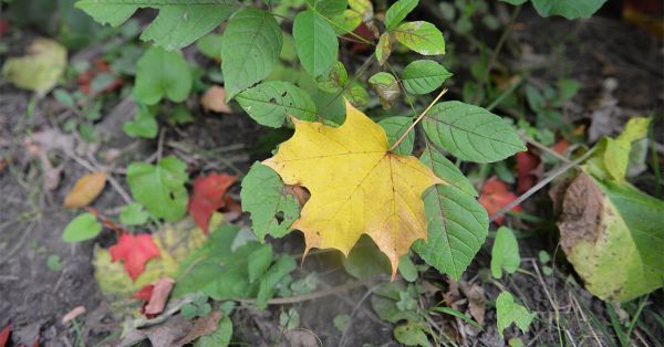 Warmer weather expected to continue as fall gets underway
