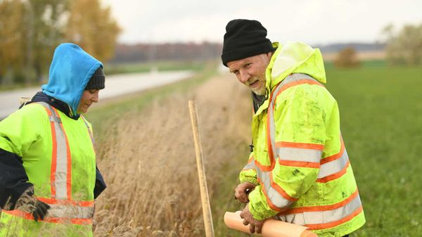 A long and winding road to greener times