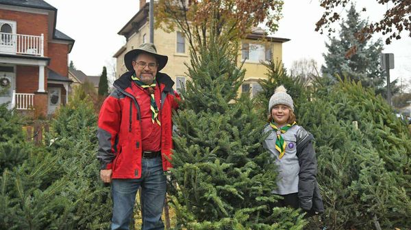 Issue with going real with a Christmas tree