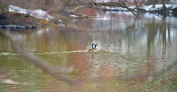 Typical spring weather ahead, Environment Canada predicts