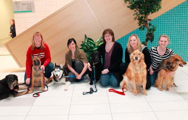 Show promises to be a wild and woofy affair