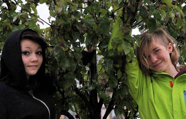 Naomi Jansen (right) and Jillian Scott (left) took shelter from the Wednesday’s rain under a young tree planted in Elmira. Trees for Woolwich hopes to increase the township’s tree cover by 1,000 come spring, engaging students of all ages. EDSS is continuing its tree-planting efforts this year as part of the science curriculum. [Elena maystruk / The Observer]