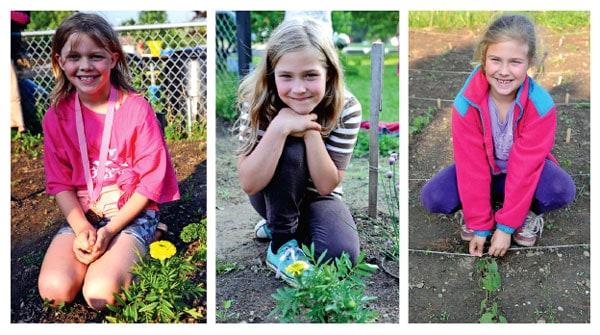 Jillian Beamer, Sarah Forester and Nicole Forester have been working on their gardens of vegetables, herbs, and flowers since May. [Whitney Neilson / The Observer]
