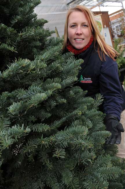 O Christmas tree, much pleasure do you bring us